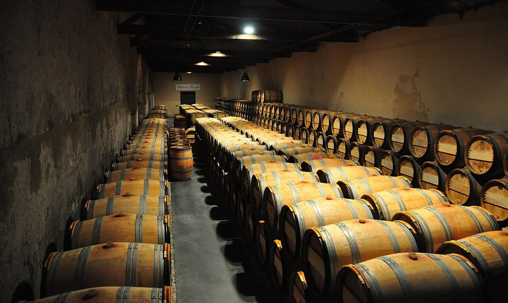 Oak wine barrels arranged in a wine cellar