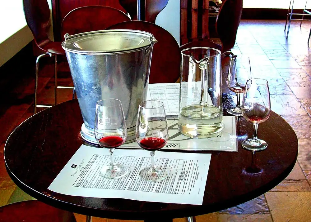 Wine glasses arranged for a tasting